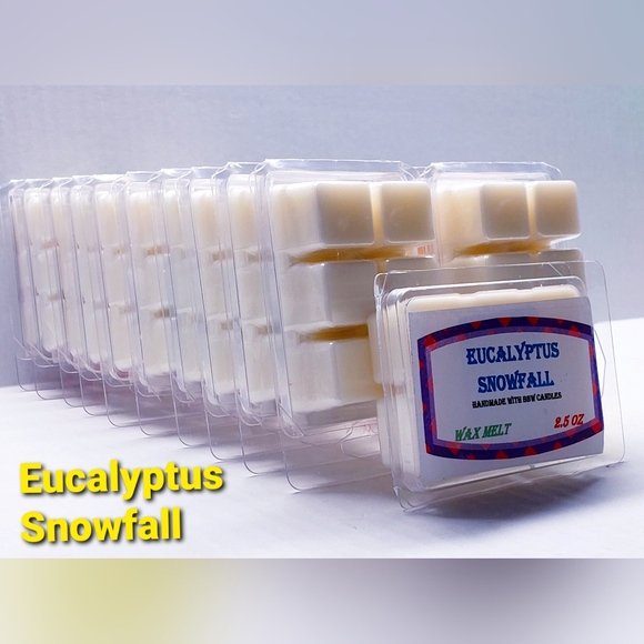 EUCALYPTUS SNOWFALL -Bath & Body Works Candle Wax Melts- $8 per pack - Picture 8 of 9
